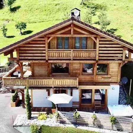 Androsace Appartement Dans Chalet Bois Avec Jacuzzi Privatif Terrasse Et Vue Montagne Les Villards-sur-Thônes Exteriér fotografie