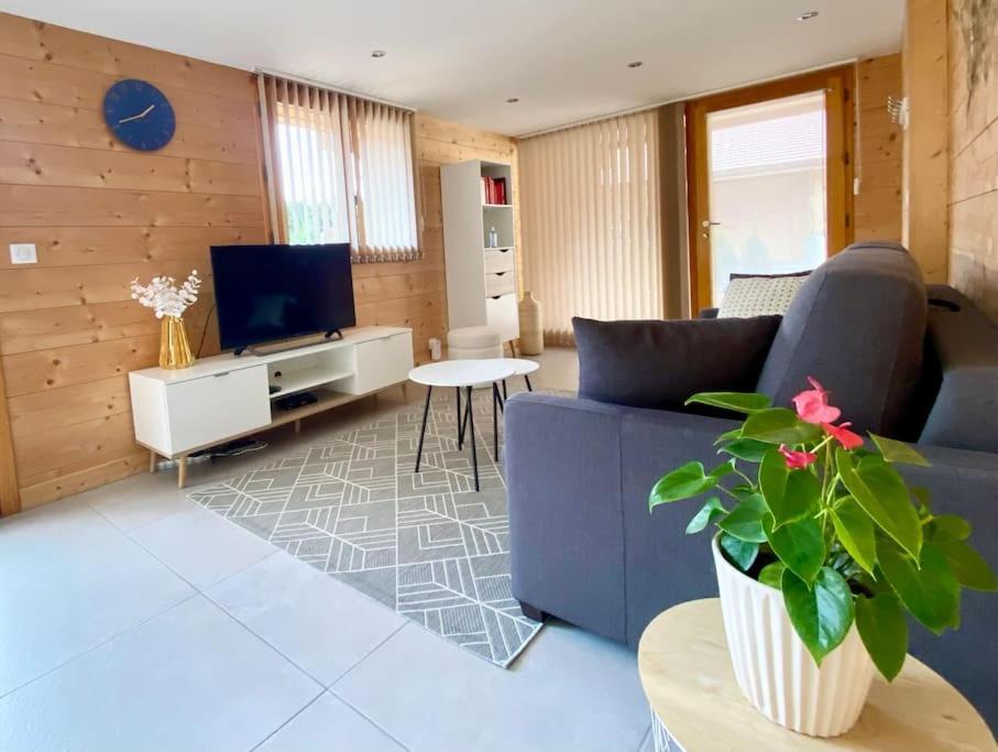 Androsace Appartement Dans Chalet Bois Avec Jacuzzi Privatif Terrasse Et Vue Montagne Les Villards-sur-Thônes Exteriér fotografie