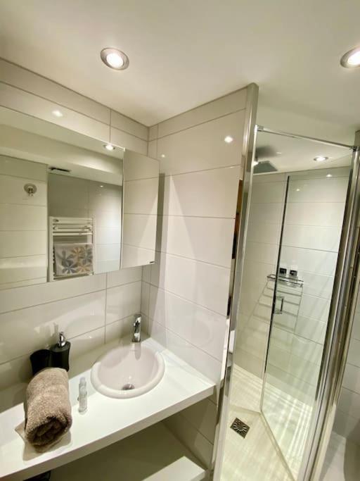 Androsace Appartement Dans Chalet Bois Avec Jacuzzi Privatif Terrasse Et Vue Montagne Les Villards-sur-Thônes Exteriér fotografie