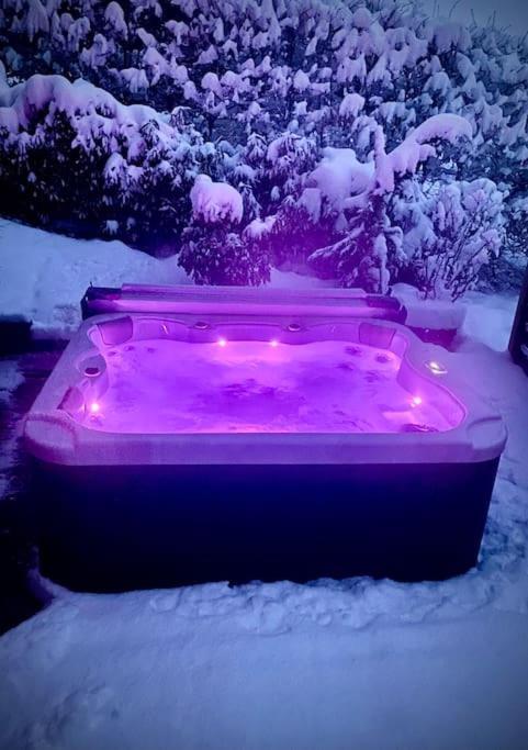 Androsace Appartement Dans Chalet Bois Avec Jacuzzi Privatif Terrasse Et Vue Montagne Les Villards-sur-Thônes Exteriér fotografie